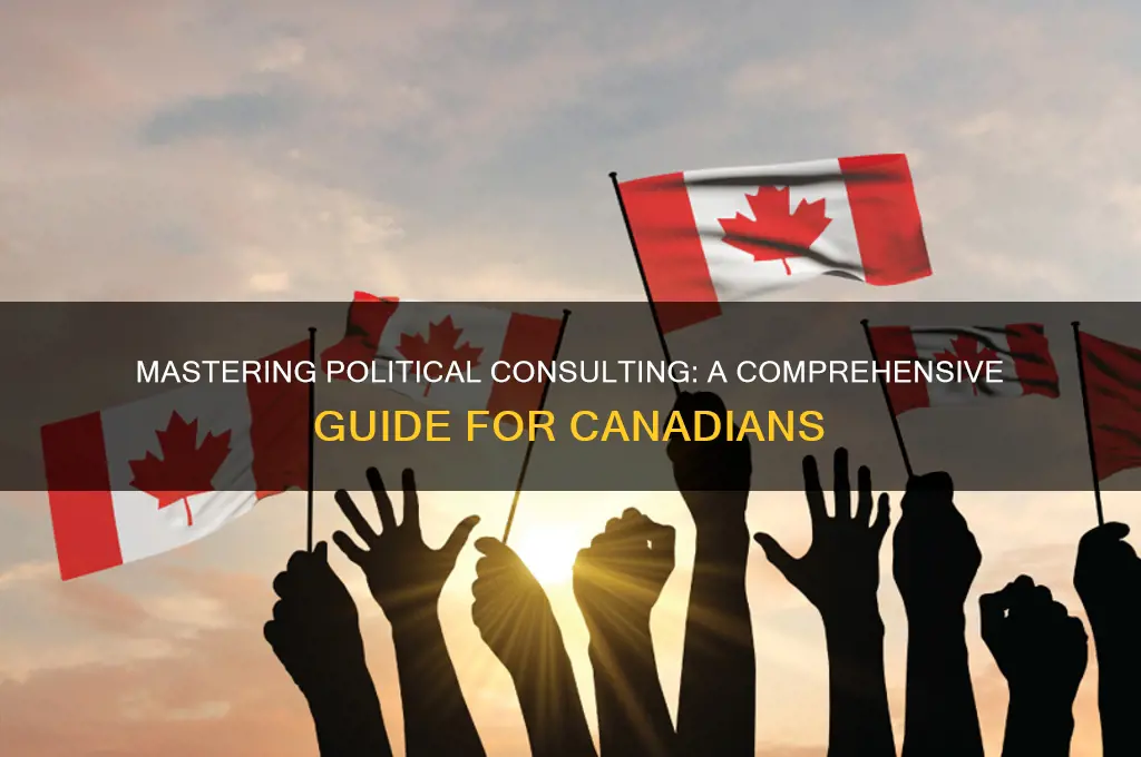 how to become a political consultant canada
