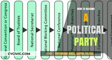 Building a Political Party: A Step-by-Step Guide to Launching Your Movement