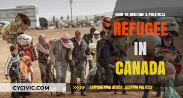 Seeking Safety: A Guide to Becoming a Political Refugee in Canada