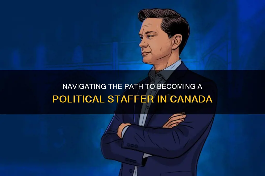 how to become a political staffer canada