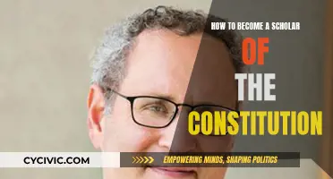 Understanding the Constitution: A Scholar's Guide
