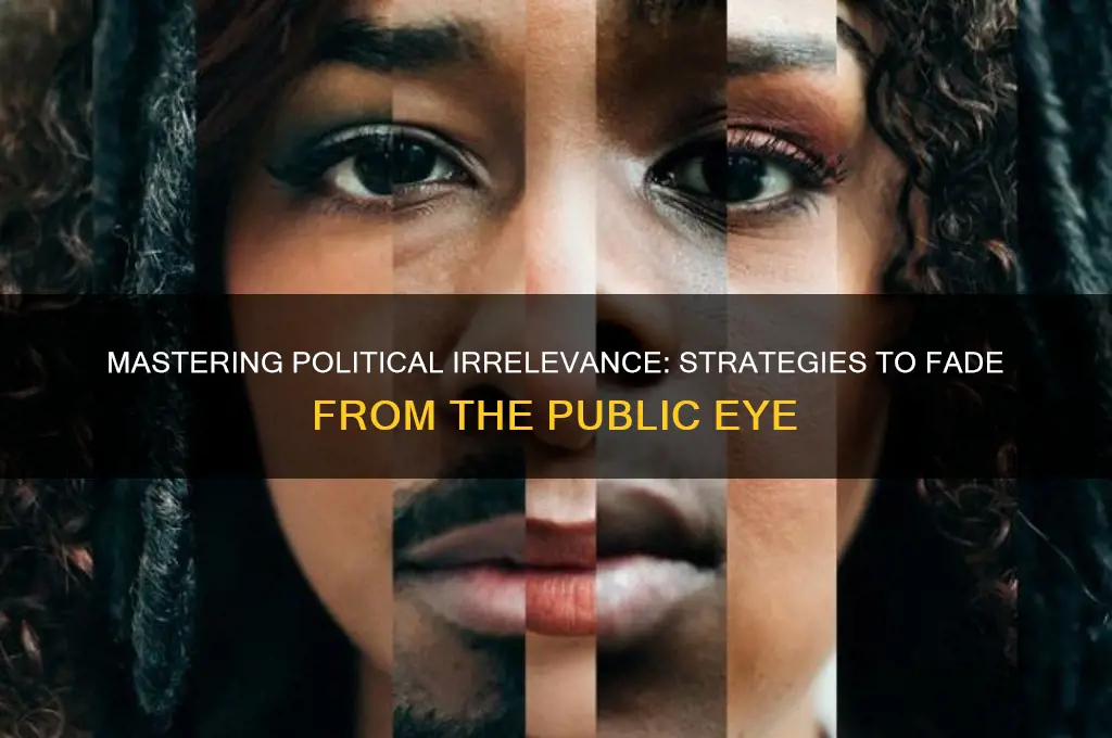 how to become irrelevant politics
