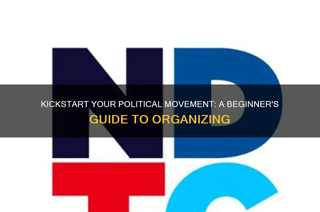 how to begin political organization
