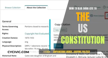 Citing the US Constitution: Bluebook Style