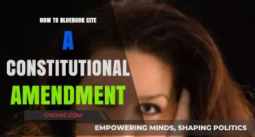 Citing Constitutional Amendments: Bluebook Style Guide