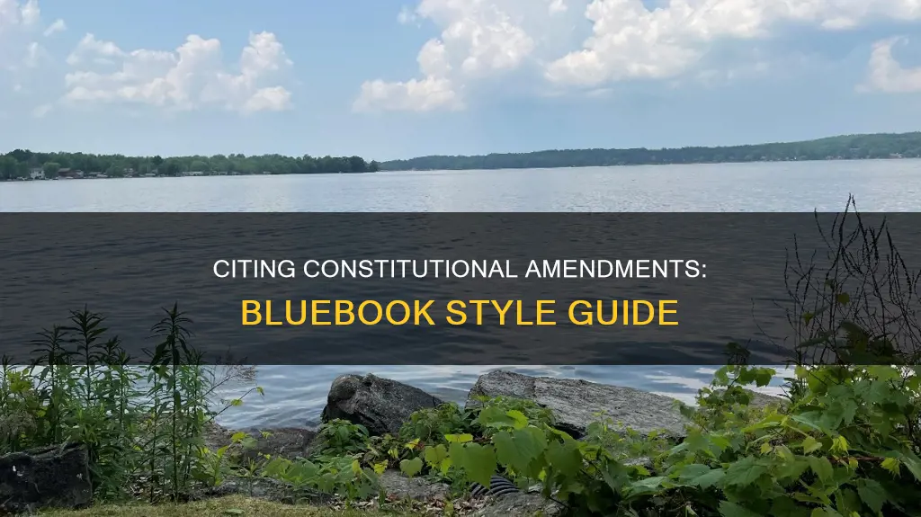 how to bluebook cite a constitutional amendment