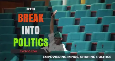 Navigating the Political Landscape: A Beginner's Guide to Launching Your Career