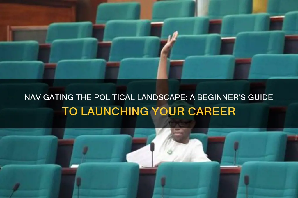 how to break into politics