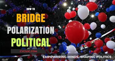 Bridging the Divide: Strategies to Heal Political Polarization