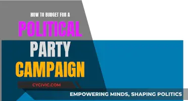 Strategizing Finances for a Successful Political Campaign