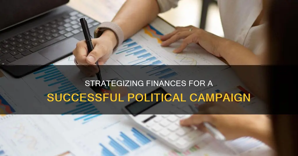 how to budget for a political party campaign