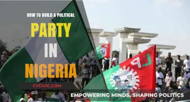 Building a Political Party in Nigeria: Strategies for Success