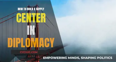 Building a Diplomacy Supply Center: Strategies for Success