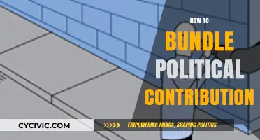 Strategic Bundling: Maximizing Impact with Political Contributions