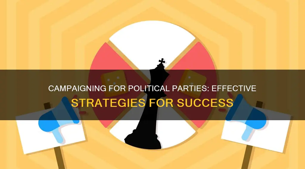 how to campaign for a political party
