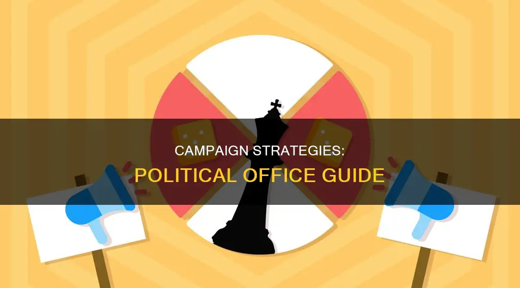 how to campaign for political office