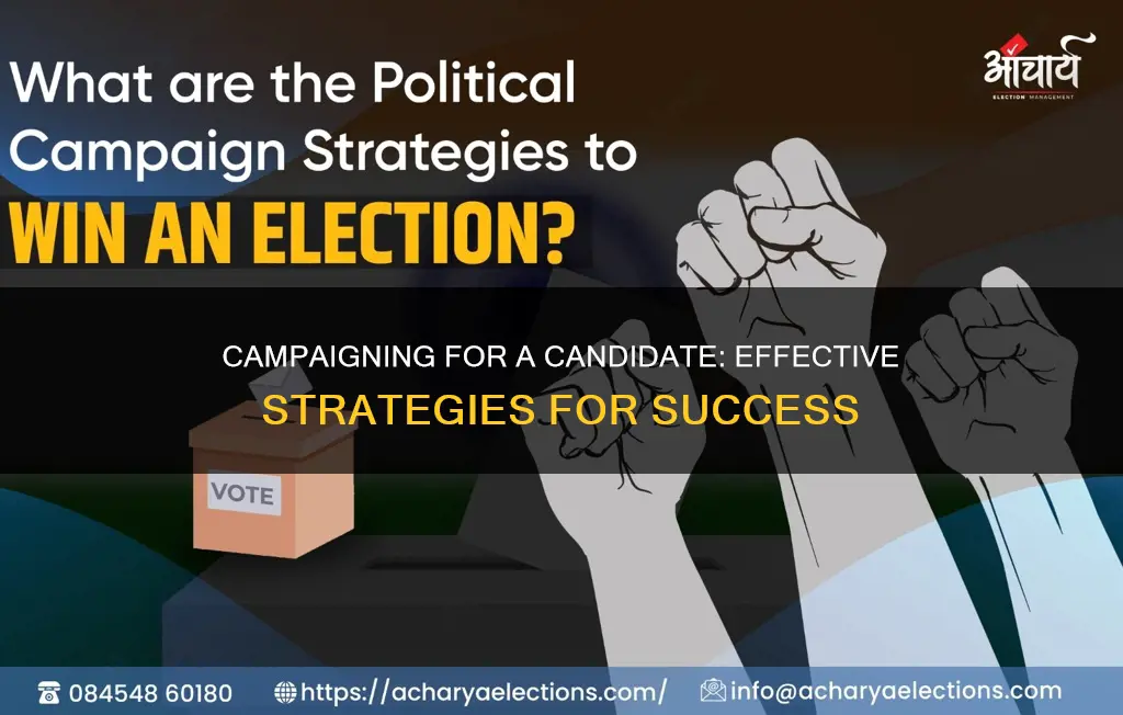 how to campaign for someone