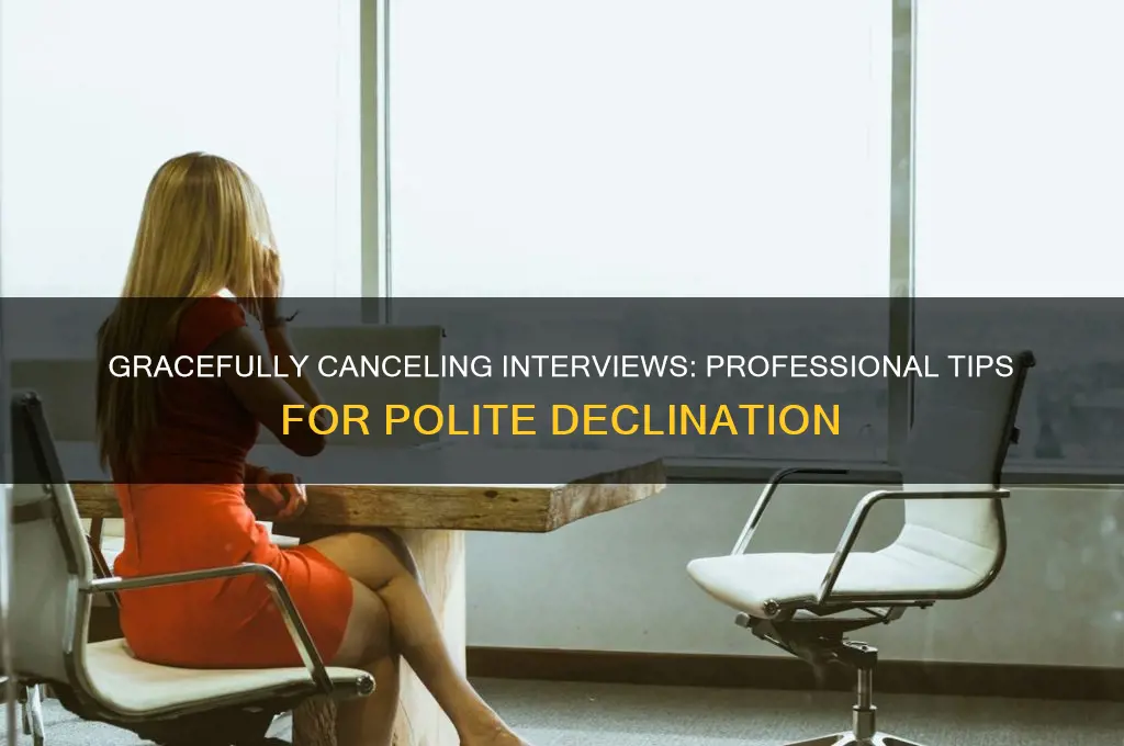 how to cancel interview politely
