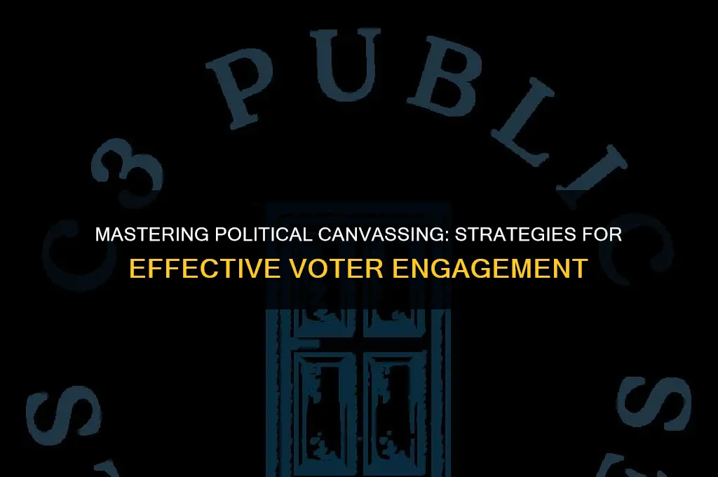 how to canvas politics