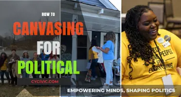 Mastering Political Canvassing: Effective Strategies to Engage and Influence Voters