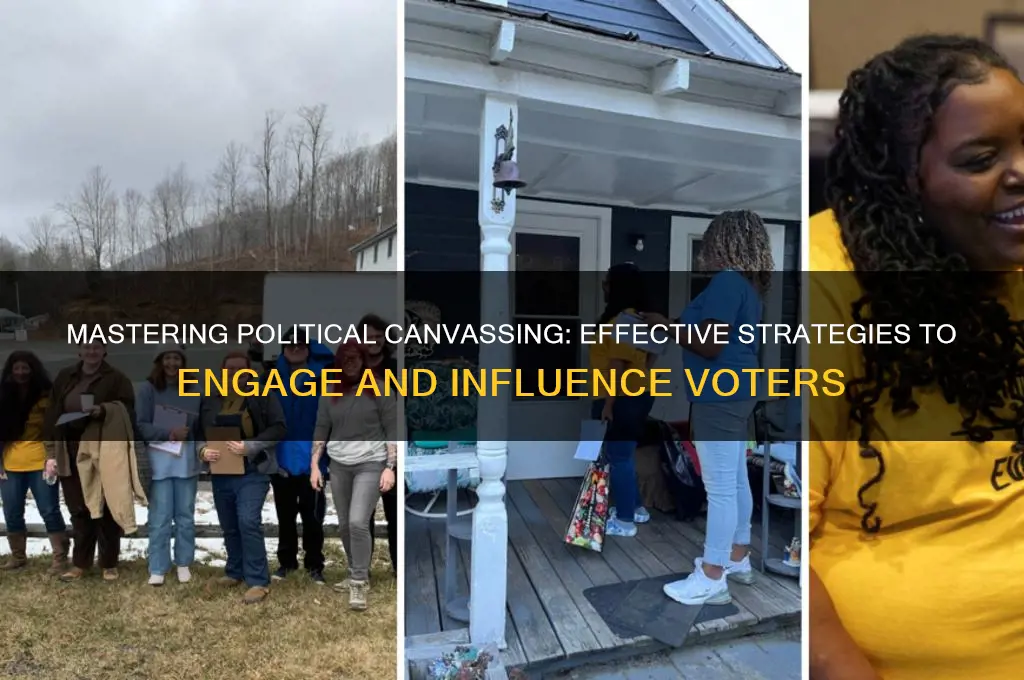 how to canvasing for political