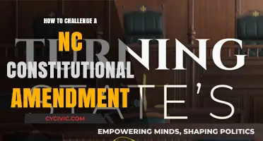 Challenging a NC Constitutional Amendment: A Guide