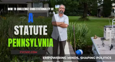 Challenging a Statute: Pennsylvania's Constitutional Process