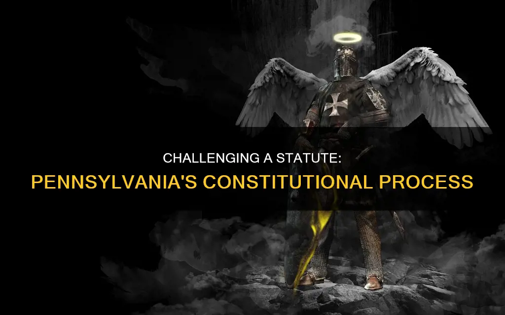 how to challenge constitutionality of a statute pennsylvnia
