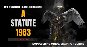 Challenging a Statute's Constitutionality: Your Rights and Options