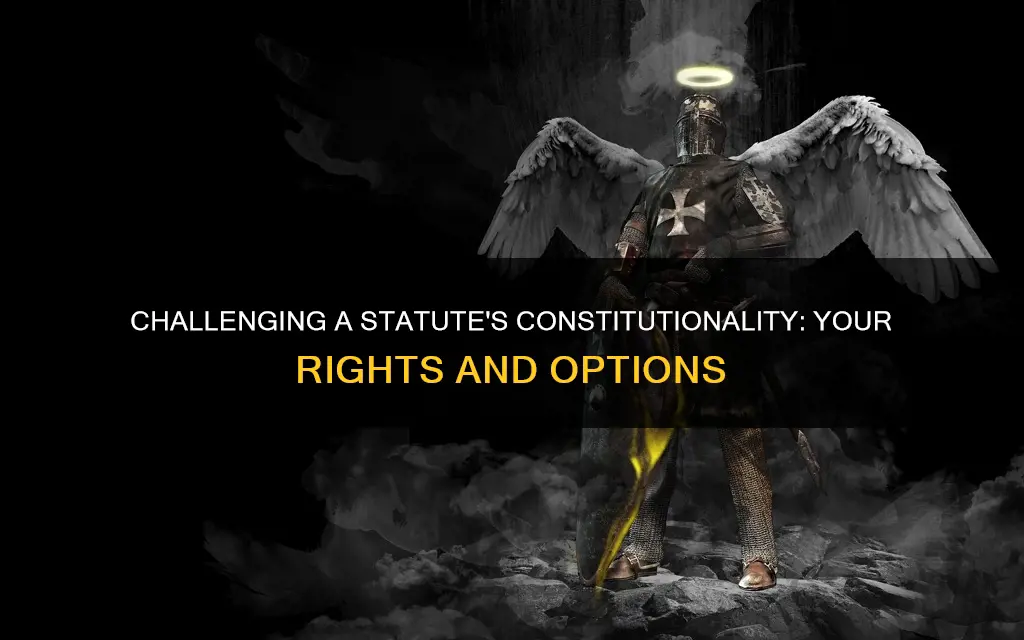 how to challenge the constitutionality of a statute 1983