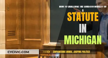 Challenging Michigan Statute Constitutionality: A Step-by-Step Guide