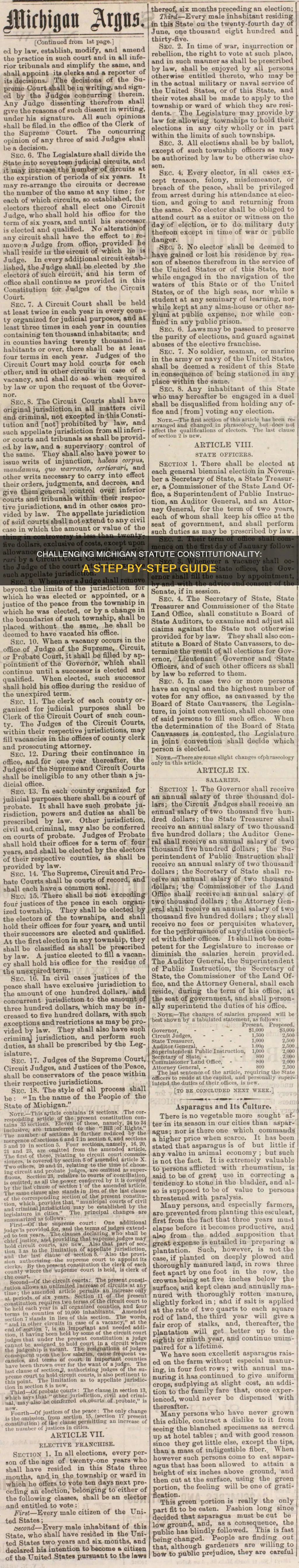 how to challenge the constitutionality of a statute in michigan