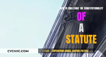 Challenging a Statute: Is It Constitutional?