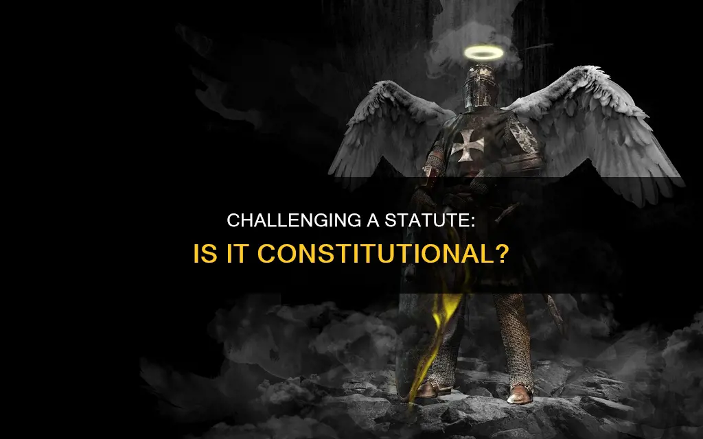 how to challenge the constitutionality of a statute