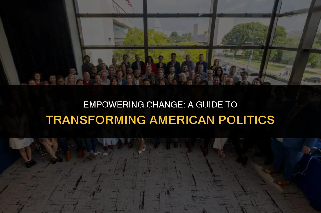 how to change american politics