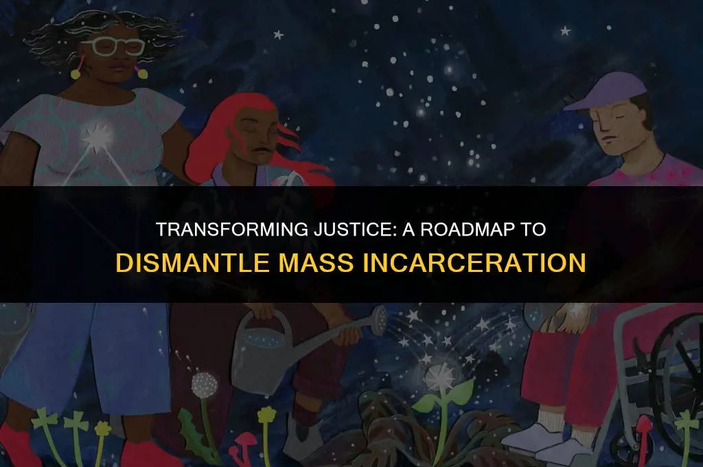 how to change political landscape mass incarceration
