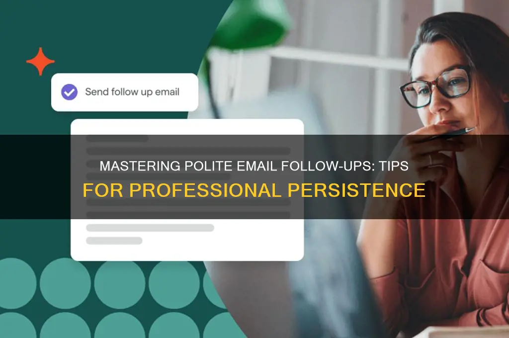 how to chase email politely