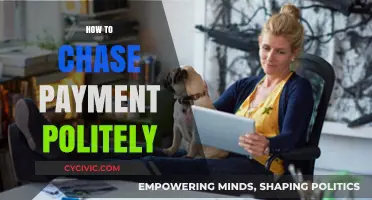 Chasing Payments Gracefully: Polite Strategies for Securing What You're Owed