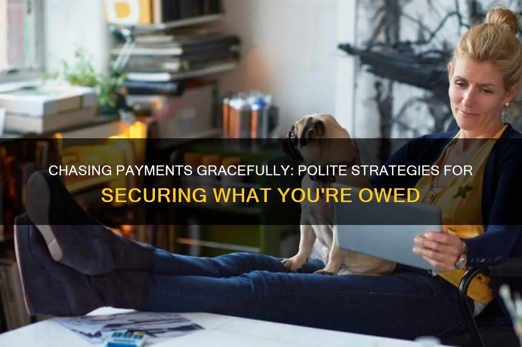 how to chase payment politely