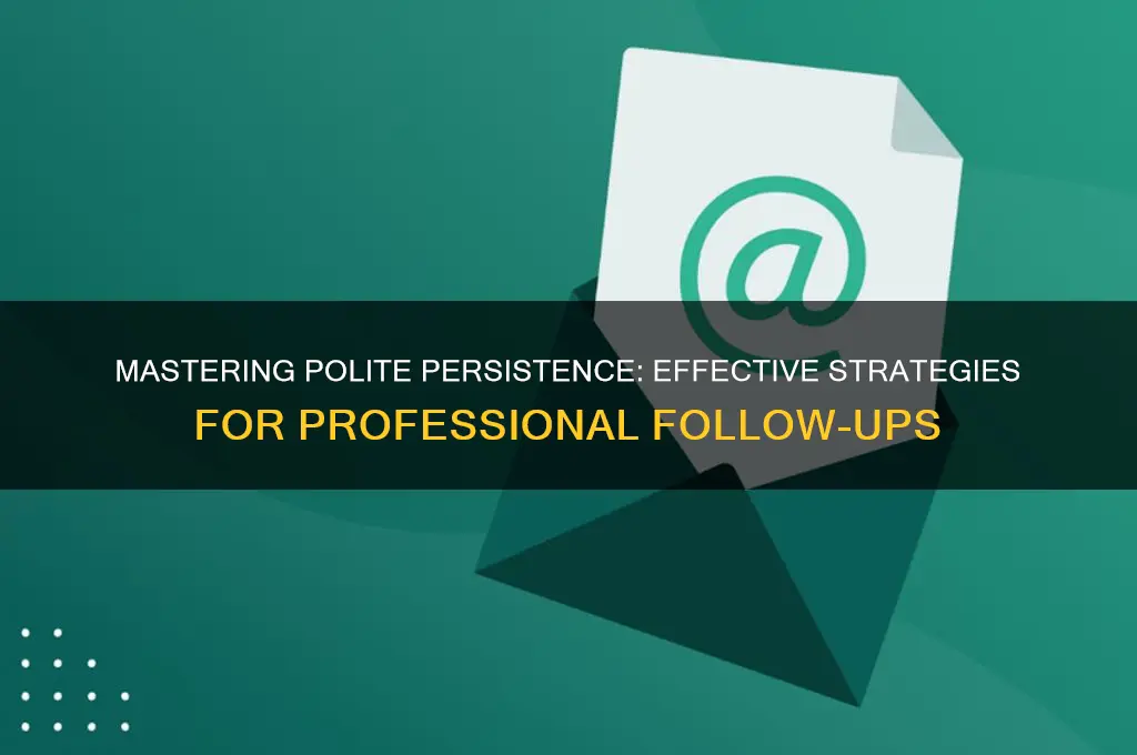 how to chase politely