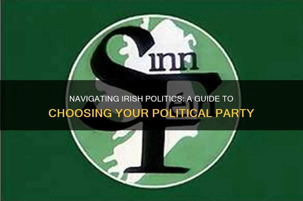 how to choose a political party ireland