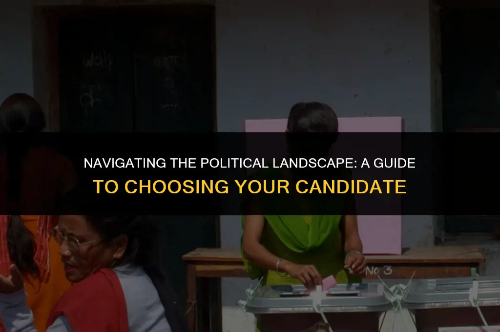 how to choose the right political candidate
