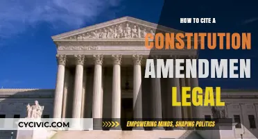 Citing a Constitution Amendment: Legal Precision