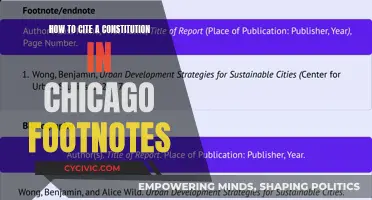 Citing a Constitution: Chicago Footnotes Style Guide