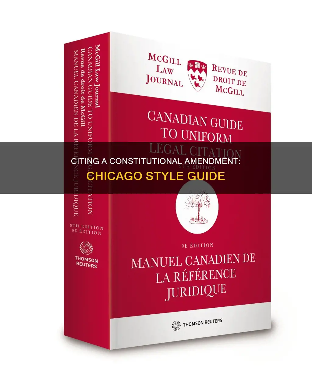 how to cite a constitutional amendment chicago