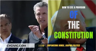 Citing the Constitution: A Quick Guide