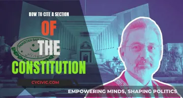 Citing the Constitution: Section-Specific References