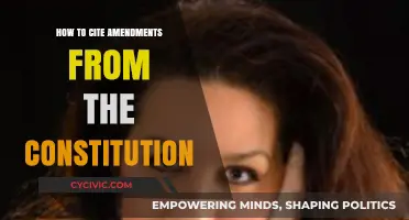 Citing the Constitution: Amendments and Their Sources