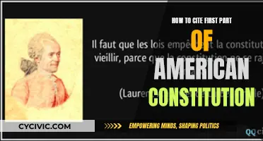 Citing the American Constitution: First Part