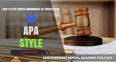 Citing the Fourth Amendment: APA Style Guide